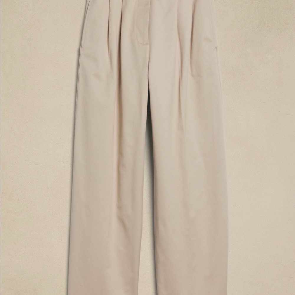 Banana Republic Cruz wide-leg pleated chinos